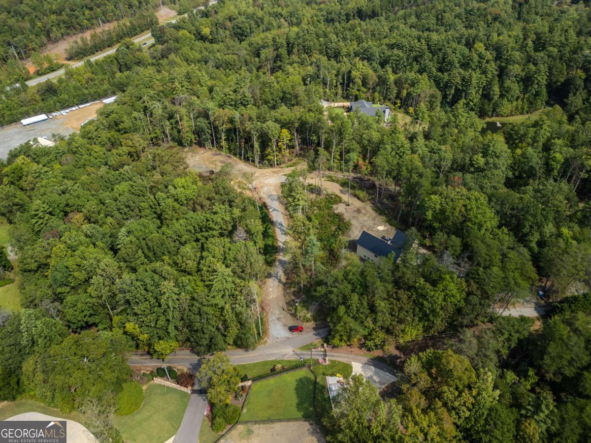 Tract 3 Old Northcutt Road Ellijay, GA 30536 - Photo 4 of 7