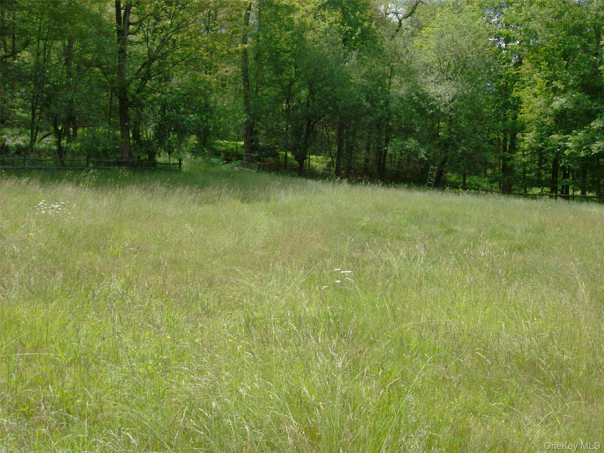 70 Bonnie Brook Road Roscoe, NY 12776 - Photo 7 of 33