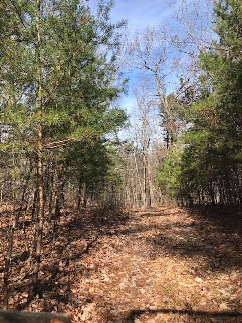 0 Mud Road Graysville, TN 37338 - Photo 15 of 19 Gallery Image 15