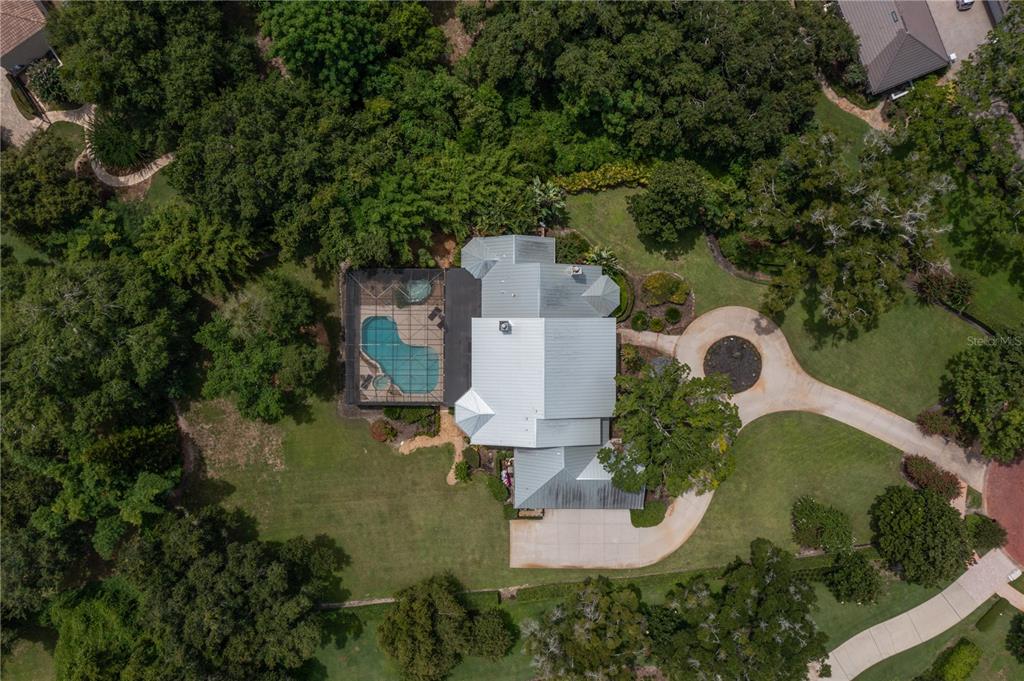 3413 Lilas Court Windermere, FL 34786 - Photo 50 of 53