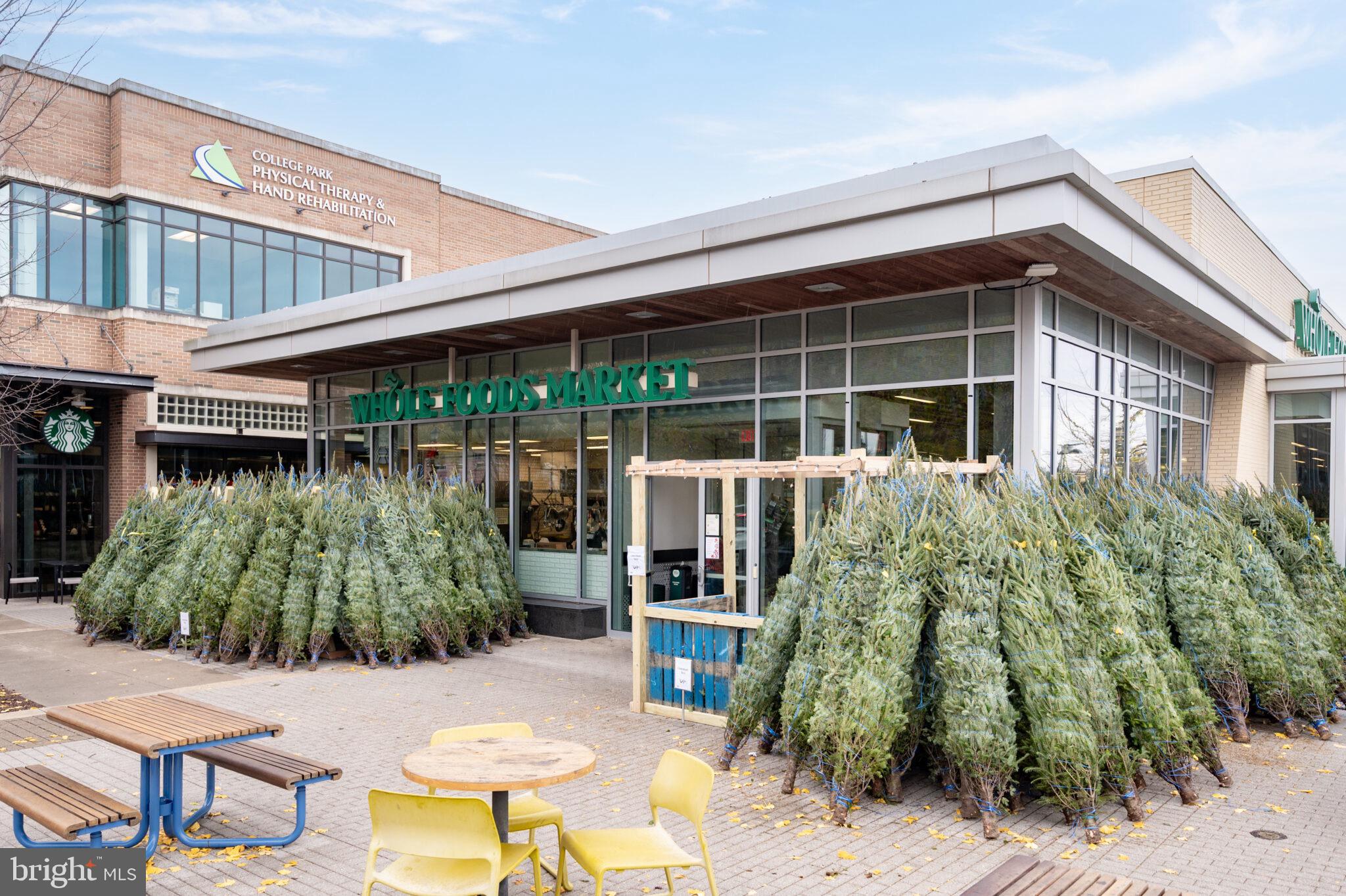 7507 Dover Lane Hyattsville, MD 20784 - Photo 49 of 53 a backyard of a house with yard and outdoor seating