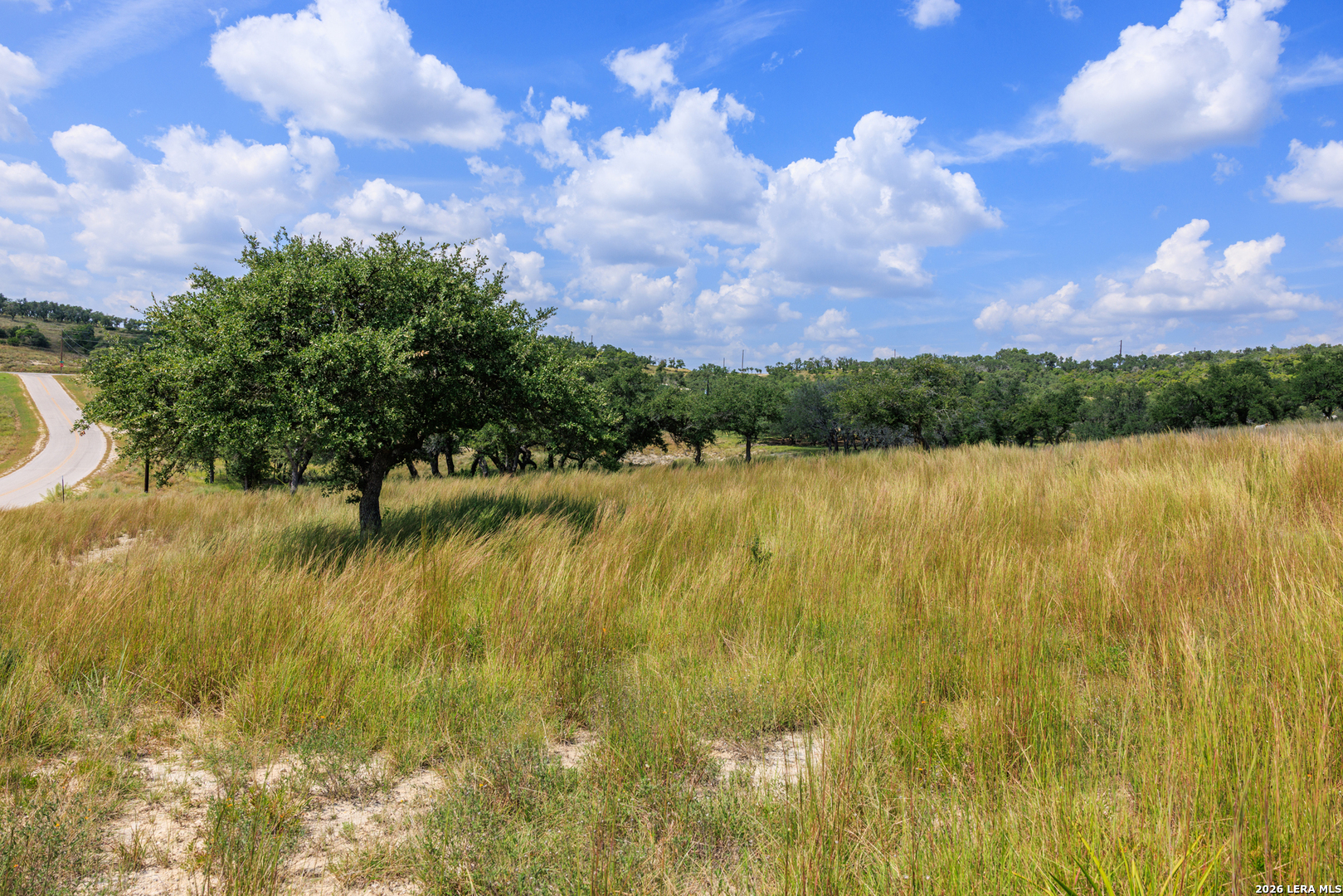 189 Fallen Acorn Blanco, TX 78606 - Photo 11 of 44