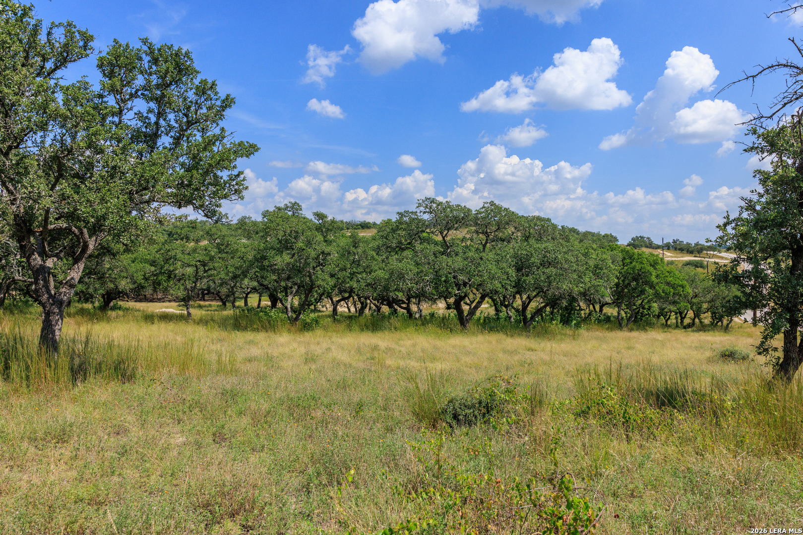 189 Fallen Acorn Blanco, TX 78606 - Photo 33 of 44