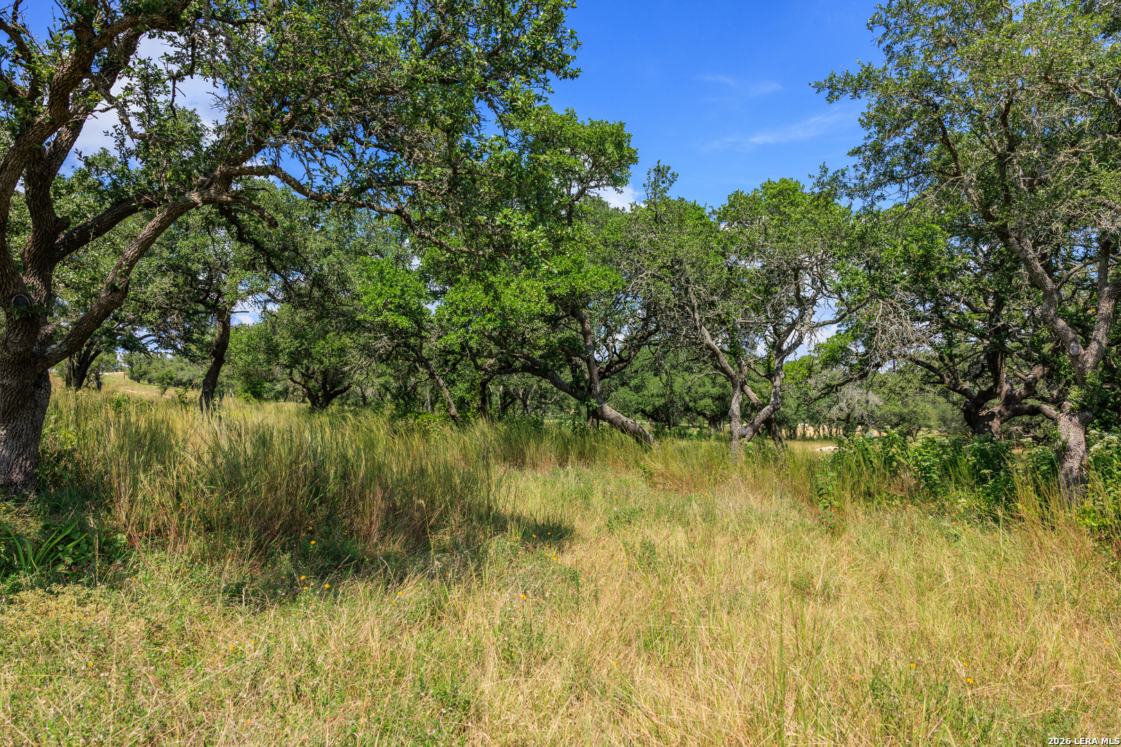 189 Fallen Acorn Blanco, TX 78606 - Photo 10 of 44