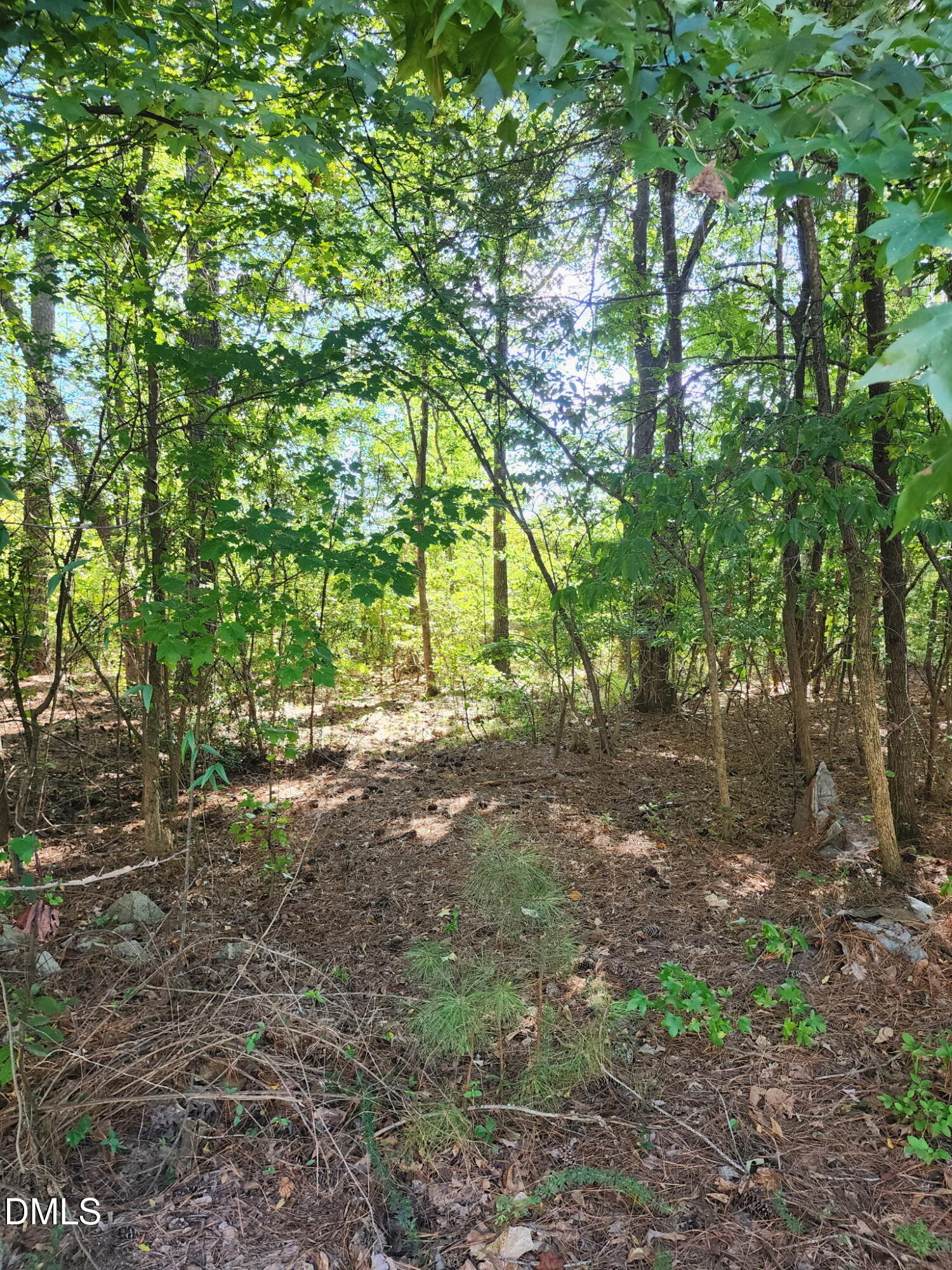 0 Ten Ten-Ten Road Apex, NC 27539 - Photo 2 of 5 1000014248