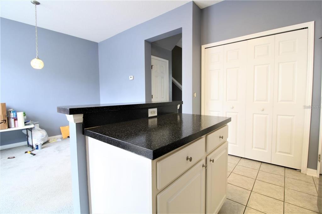 8716 Danforth Drive Windermere, FL 34786 - Photo 13 of 29