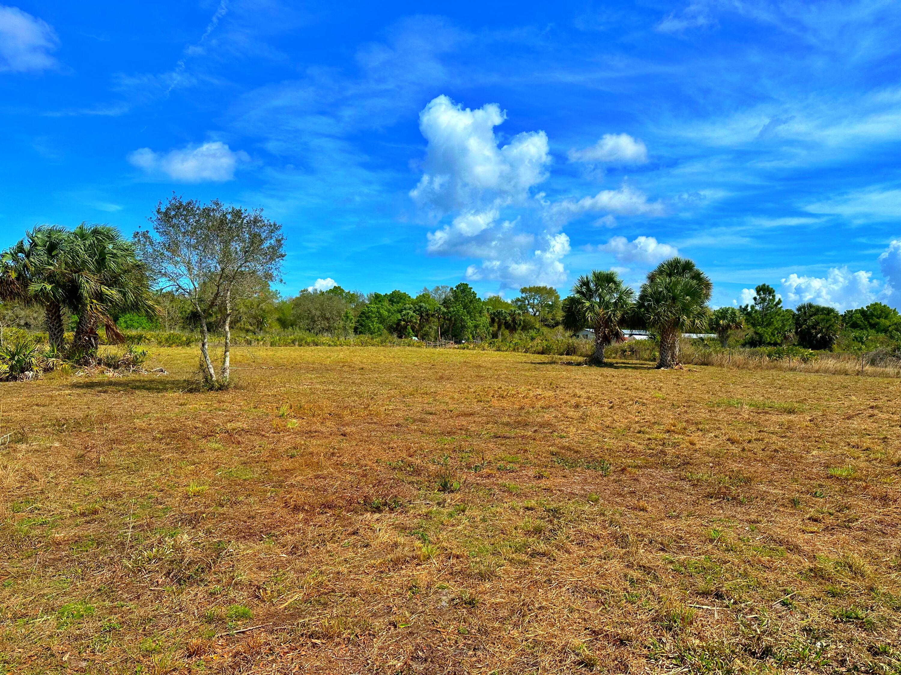 19785 Northwest 284th Street Okeechobee, FL 34972 - Photo 11 of 13 Middle of Lot