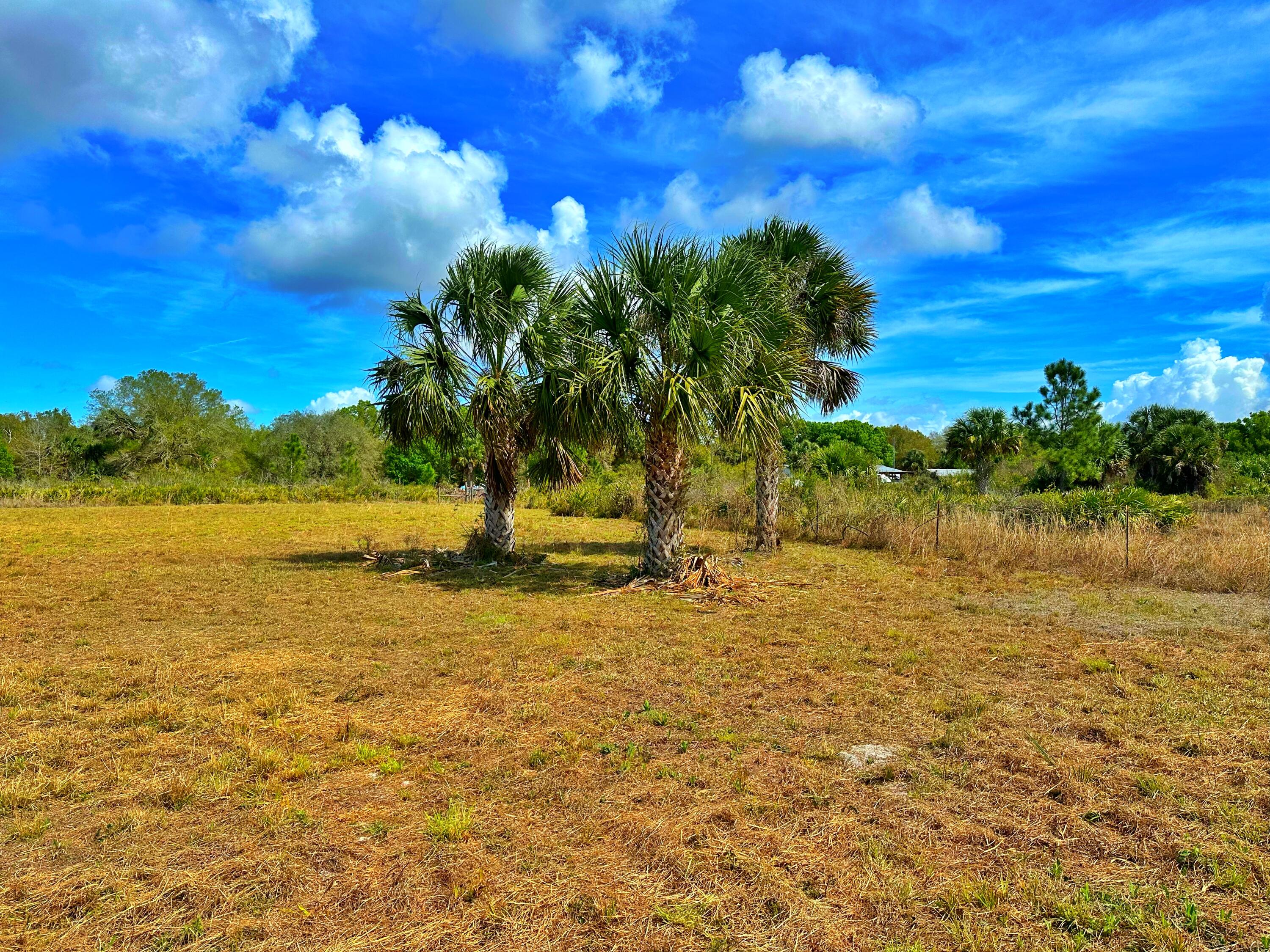 19785 Northwest 284th Street Okeechobee, FL 34972 - Photo 12 of 13 Middle of Lot
