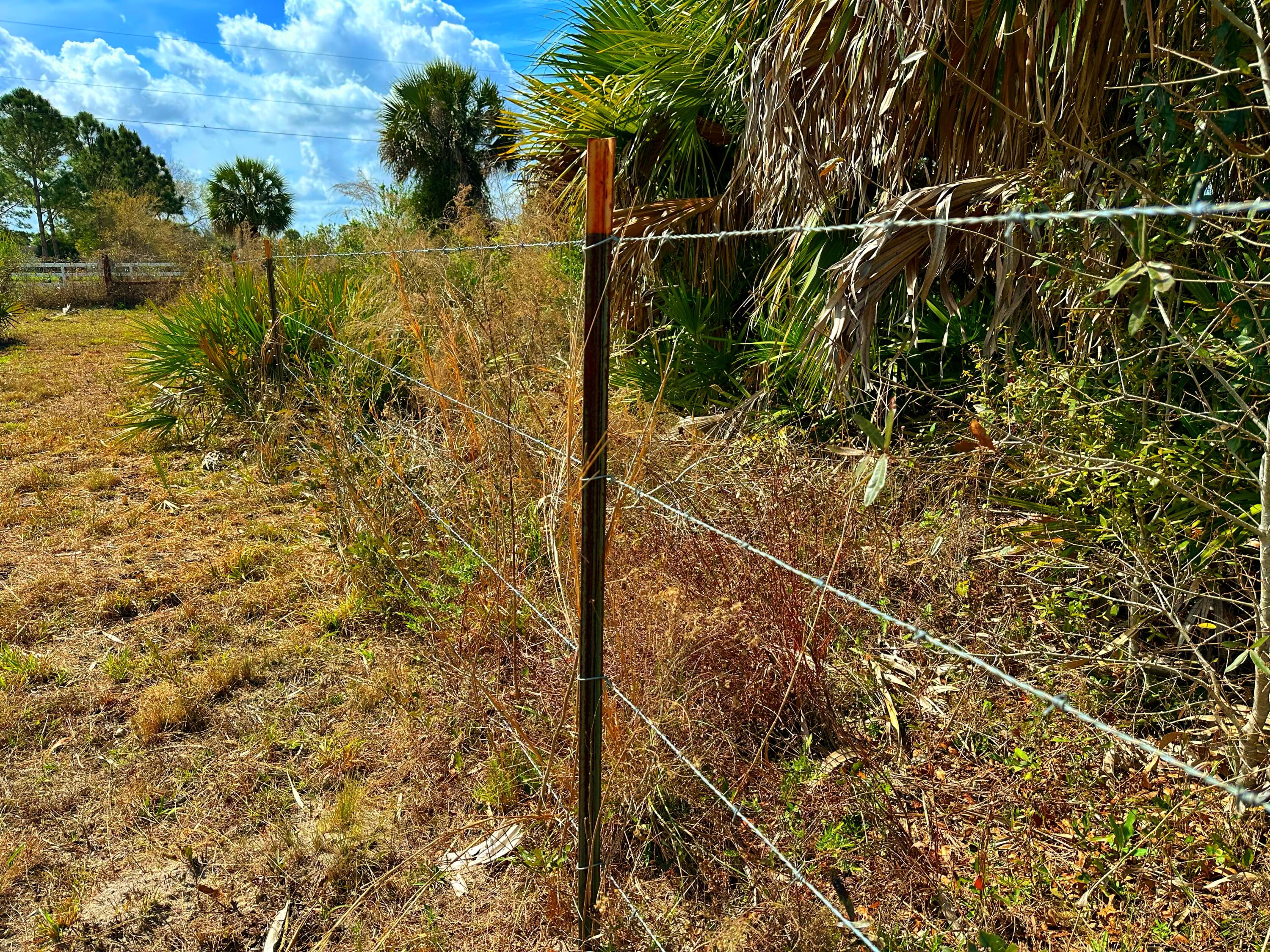 19785 Northwest 284th Street Okeechobee, FL 34972 - Photo 13 of 13 Perimeter Fencing