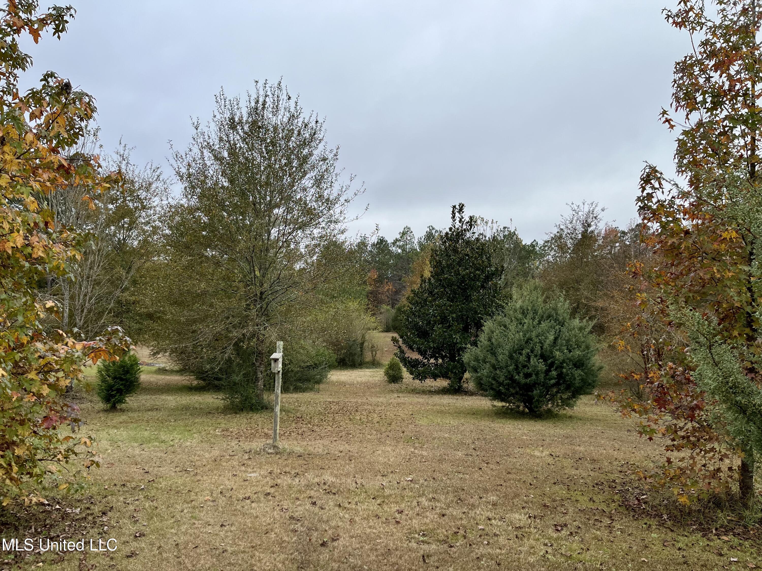 15 Rawls Road Perkinston, MS 39573 - Photo 32 of 36 Back Property