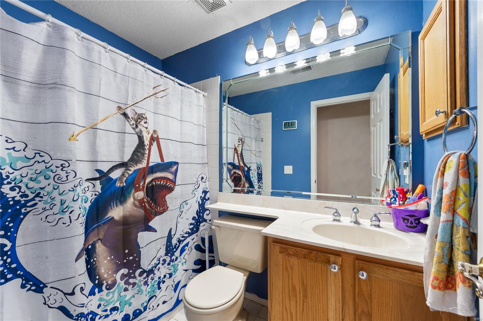 32 Connemara Road St. Peters, MO 63376 - Photo 22 of 22