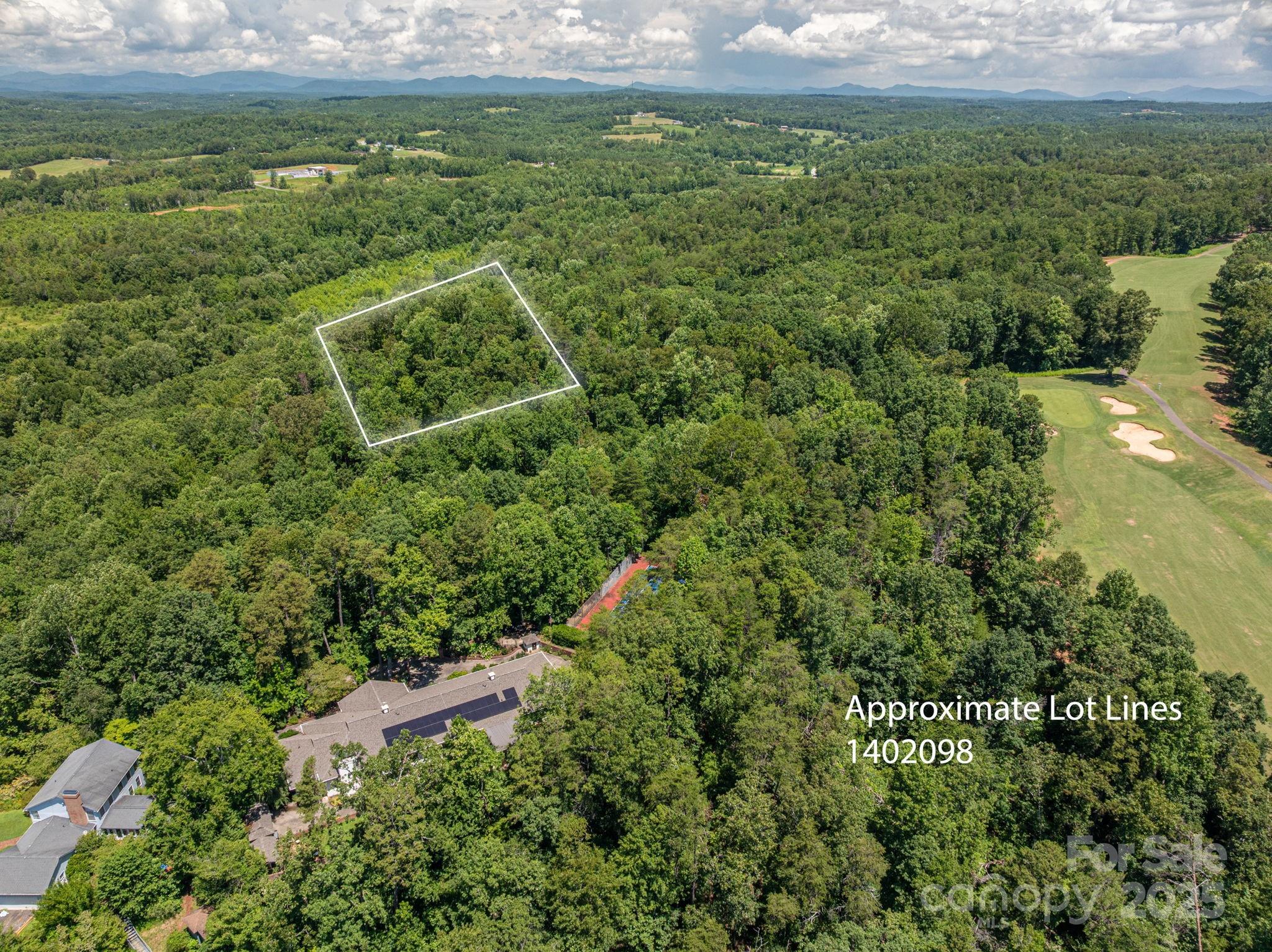 Lot 170 Coxe Road Rutherfordton, NC 28139 - Photo 2 of 16 a view of a big yard with lots of green space and mountain view in back