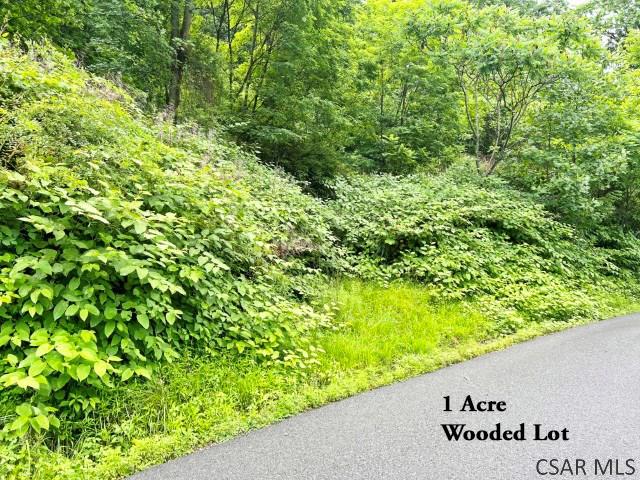 Moonshine Hollow Road Johnstown, PA 15905 - Photo 4 of 6