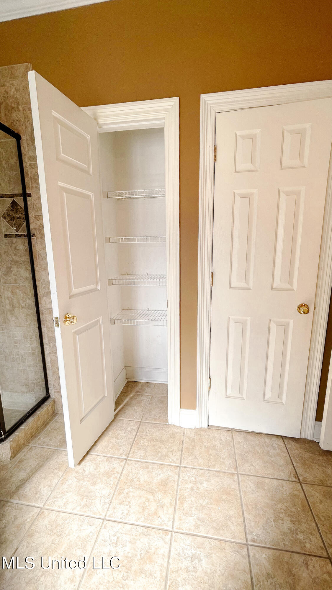 136 Copper Ridge Drive Brandon, MS 39042 - Photo 13 of 22 master bathroom closet