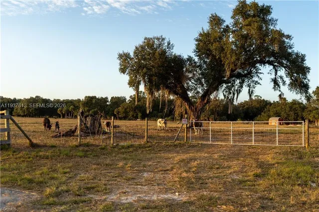 a view of outdoor space with trees all around