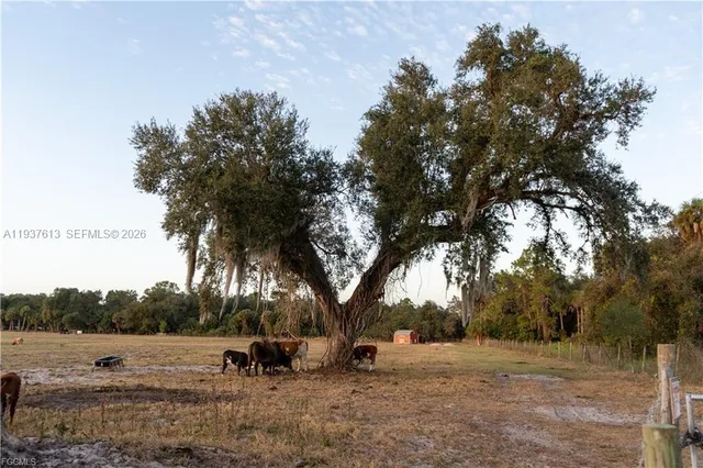 a view of a garden with an outdoor space