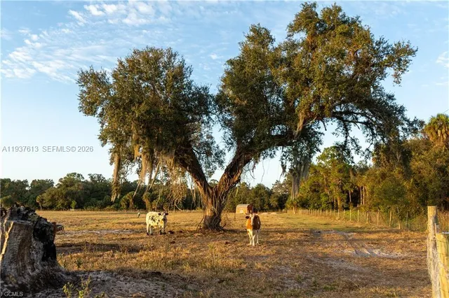 $350,000 | 894 Cemetery Road, LaBelle, FL 33935