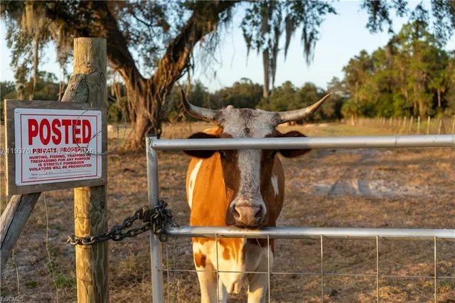 a view of outdoor space with sign board