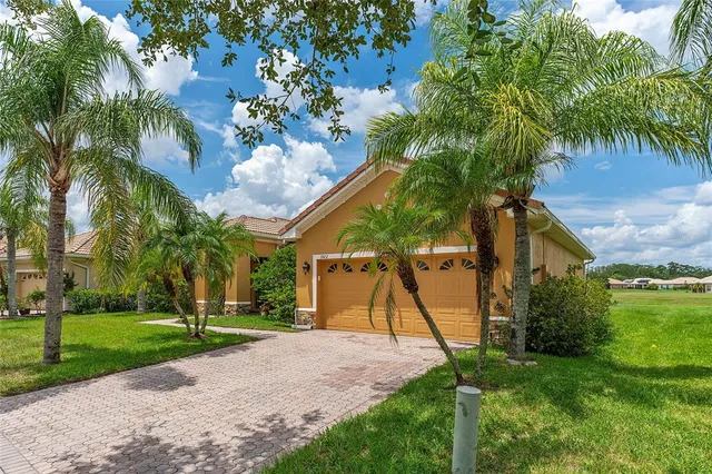 a view of a park with a tree