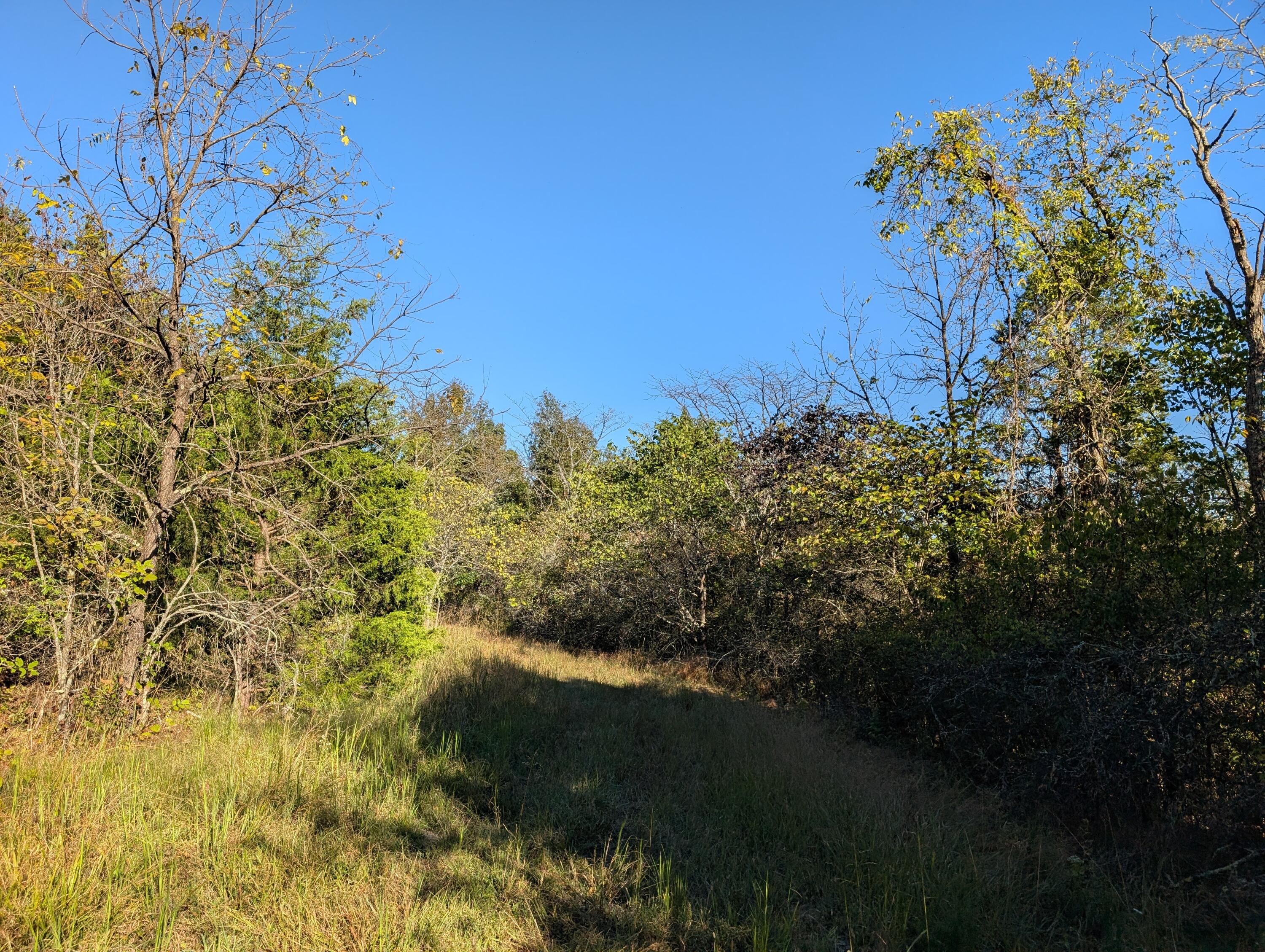 1600 Garnett Road Carlisle, KY 40311 - Photo 11 of 15 PXL_20251009_202815725.MP