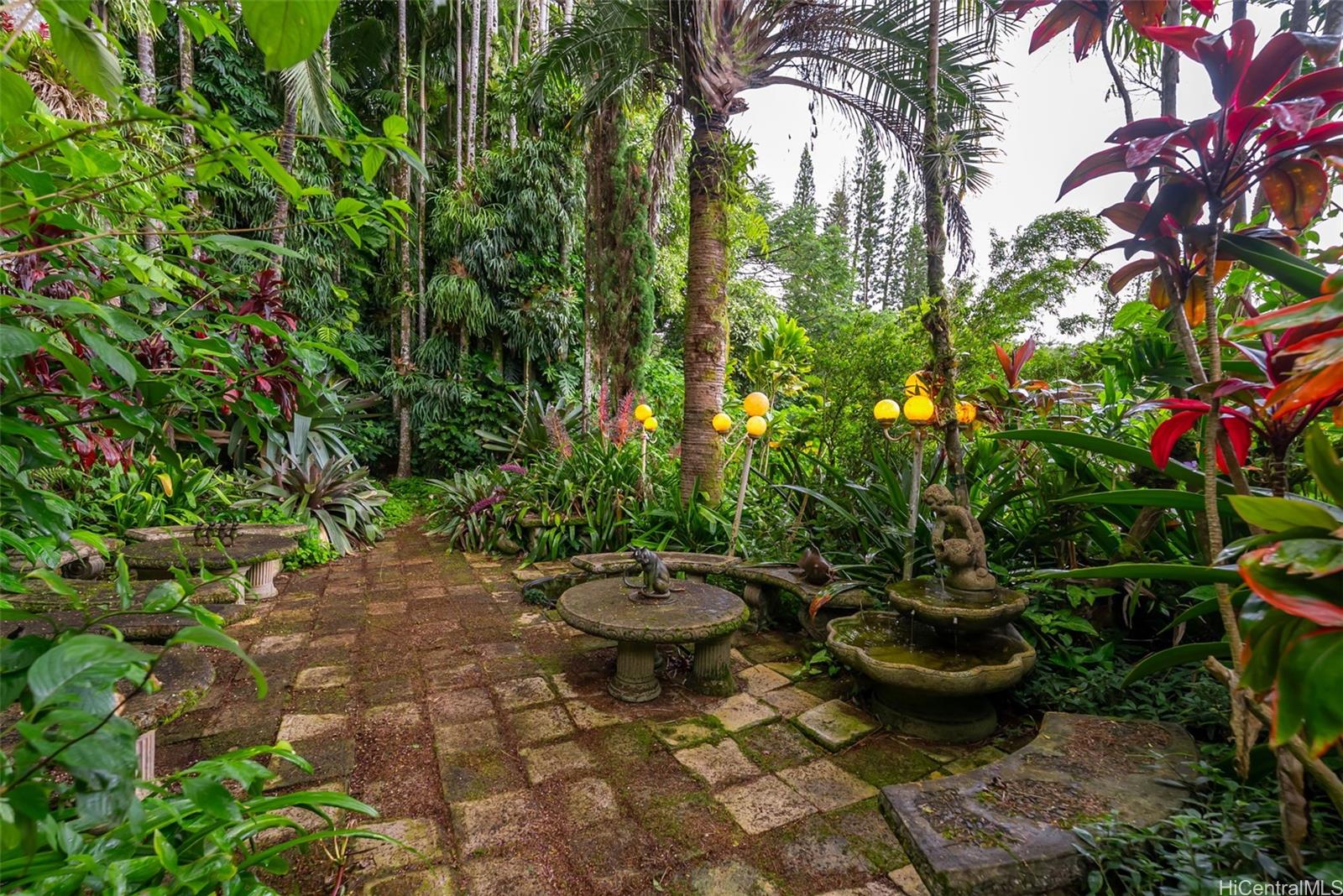 156 Forest Ridge Way Honolulu, HI 96822 - Photo 22 of 25 a view of a backyard with table and chairs and plants