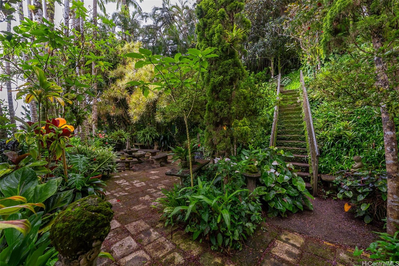 156 Forest Ridge Way Honolulu, HI 96822 - Photo 23 of 25 a view of a garden