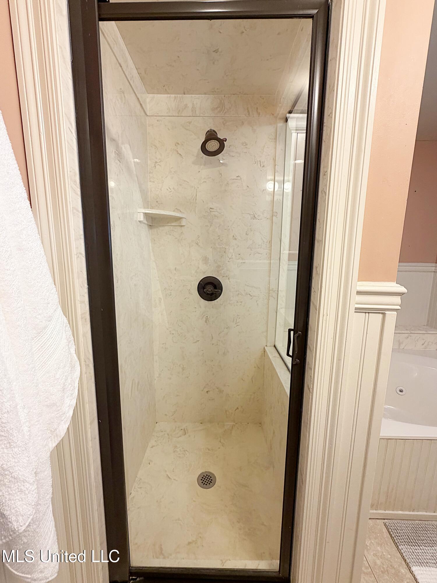 220 North Pearl Street Carthage, MS 39051 - Photo 22 of 33 Primary shower