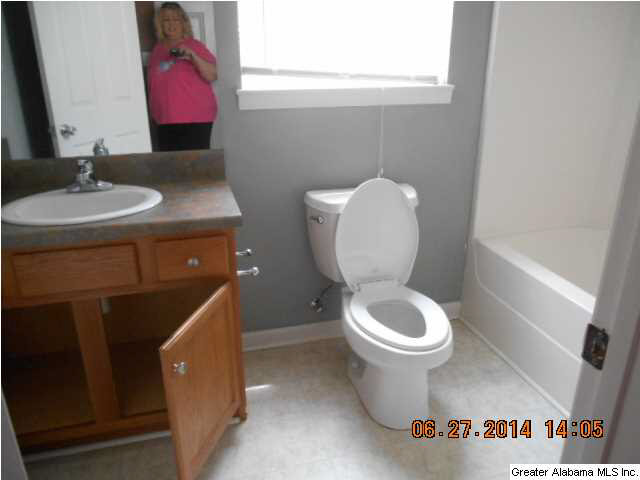54 Miranda Road Warrior, AL 35180 - Photo 10 of 13