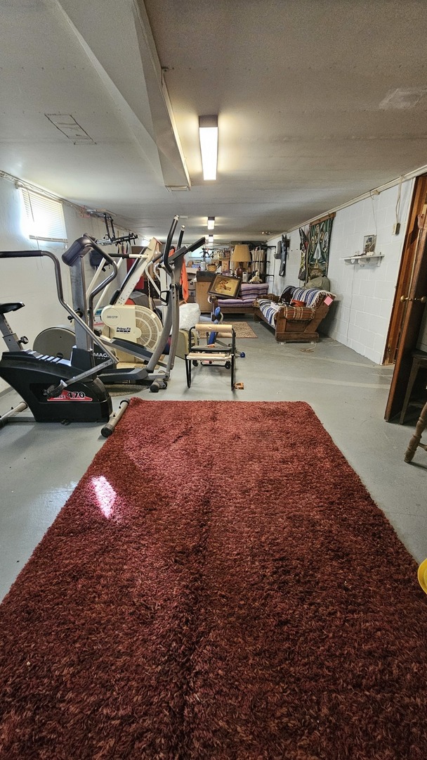 13658 East Flagg Road Rochelle, IL 61068 - Photo 36 of 65 a view of a room with gym equipment