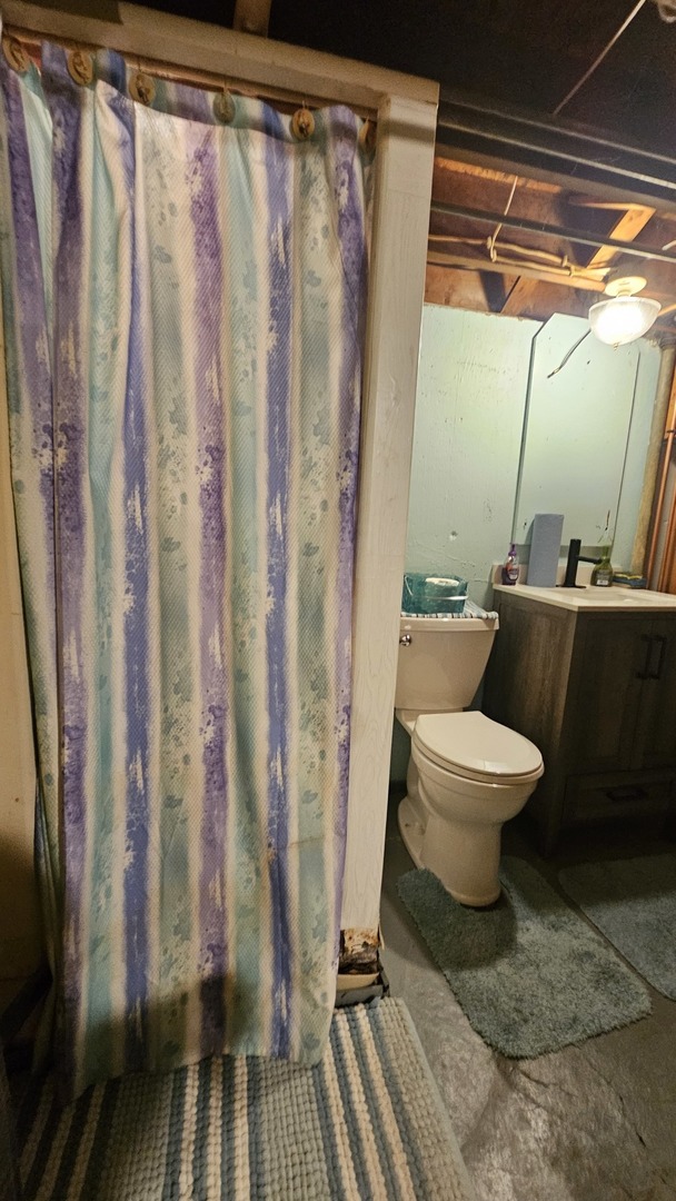 13658 East Flagg Road Rochelle, IL 61068 - Photo 41 of 65 a white toilet sitting next to a shower curtain
