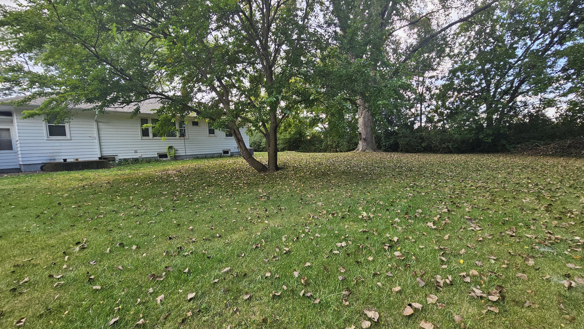13658 East Flagg Road Rochelle, IL 61068 - Photo 60 of 65 a view of a tree in front of a house