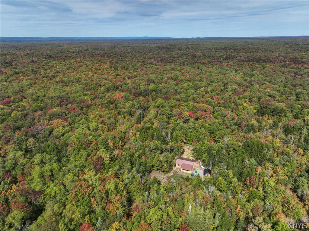 292 Hughes Road Russia, NY 13338 - Photo 43 of 48 Gallery Image 43