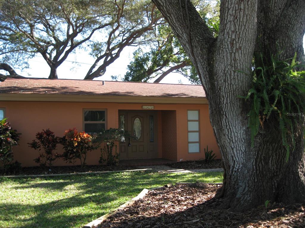 1479 Ruth Road Dunedin, FL 34698 - Photo 3 of 48