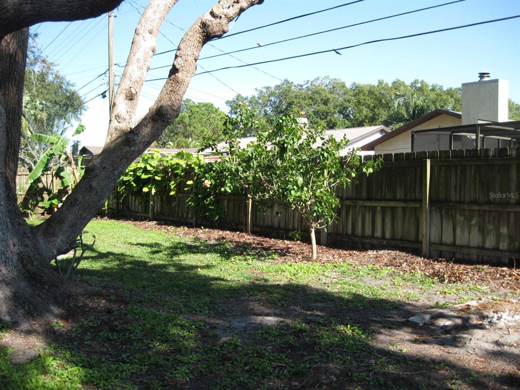 1479 Ruth Road Dunedin, FL 34698 - Photo 42 of 48