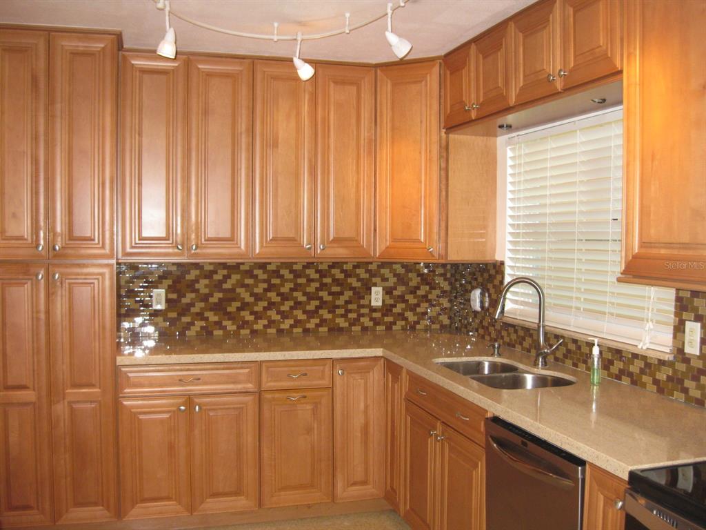 1479 Ruth Road Dunedin, FL 34698 - Photo 6 of 48