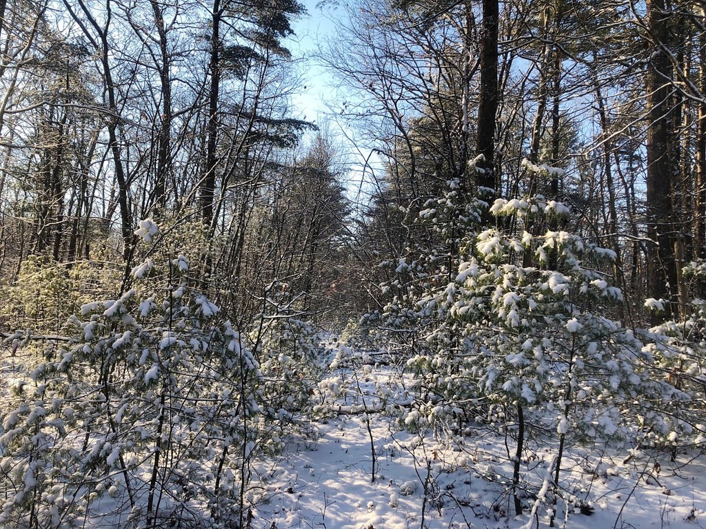 524 Czesky Road Hardwick, MA 01037 - Photo 1 of 2