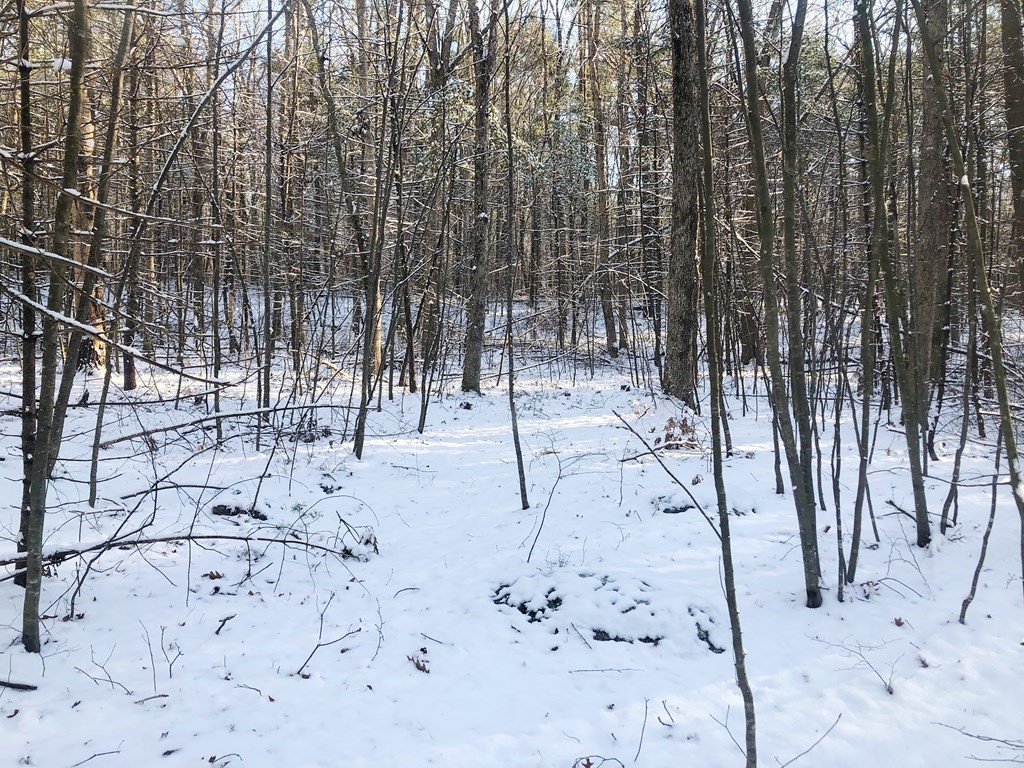 524 Czesky Road Hardwick, MA 01037 - Photo 2 of 2