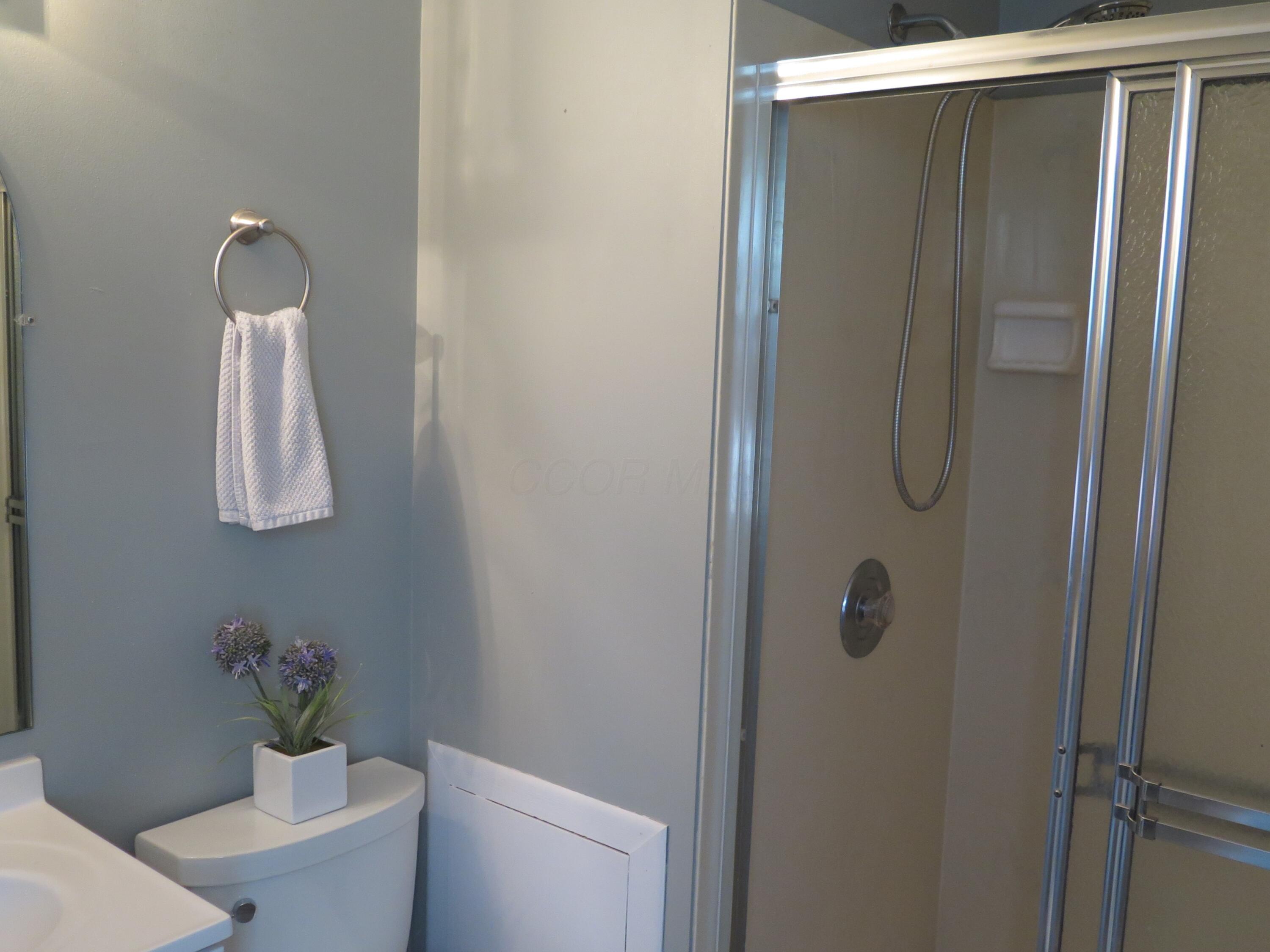 1921 Lost Valley Road Powell, OH 43065 - Photo 22 of 28 Owner's Shower bath
