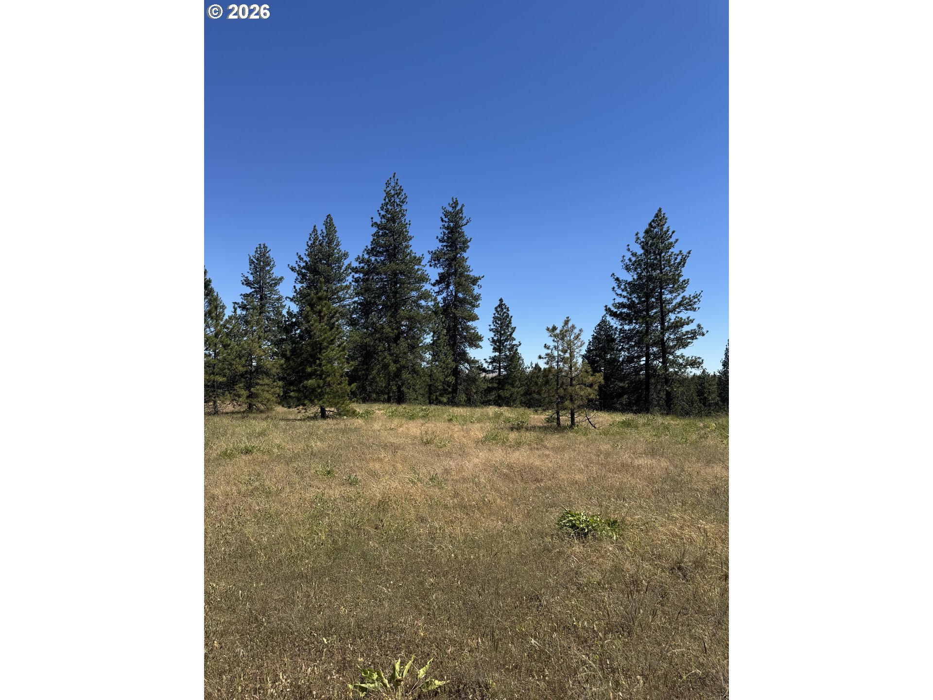 Zelinski Road Goldendale, WA 98620 - Photo 10 of 15