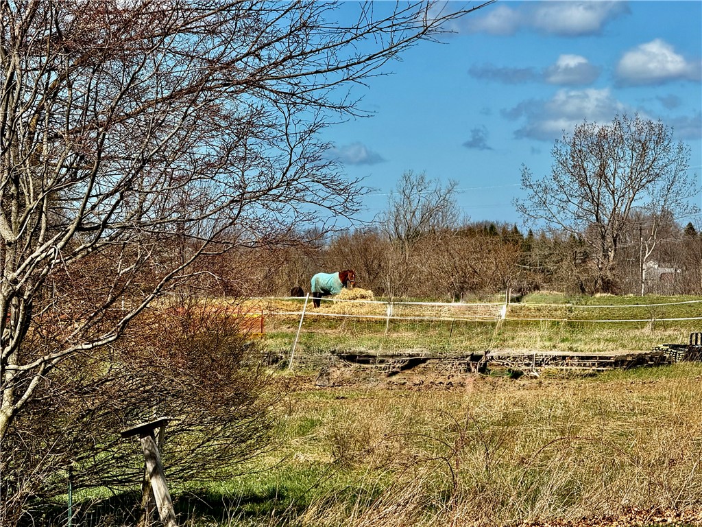 582 Brooks Road Henrietta, NY 14586 - Photo 15 of 37