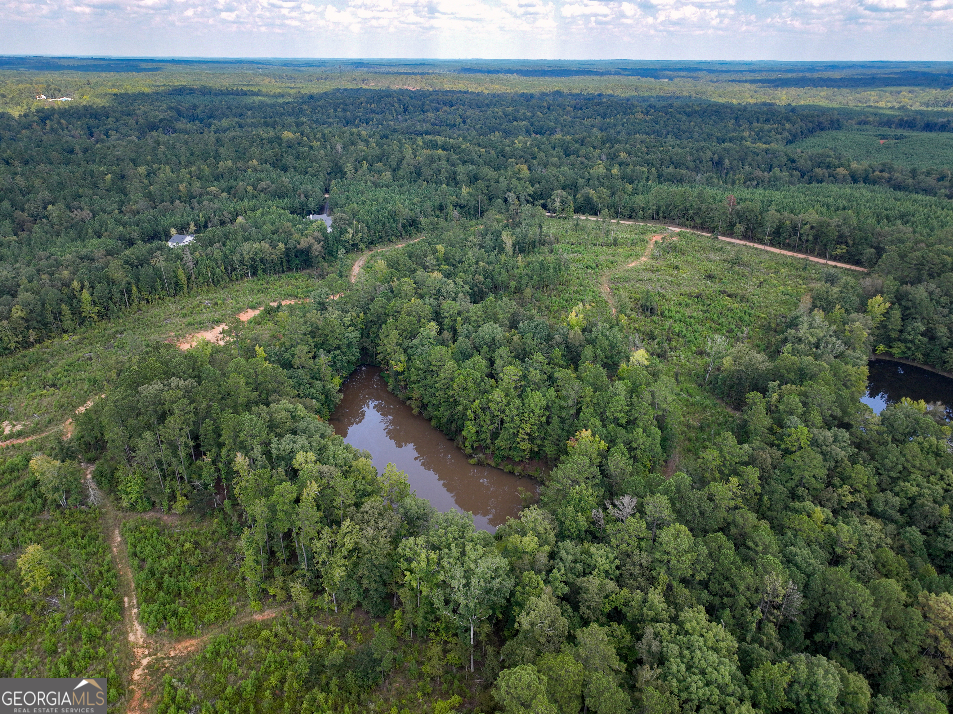 0 Mckay Road Gray, GA 31032 - Photo 1 of 1 a view of a lush green forest with lots of trees