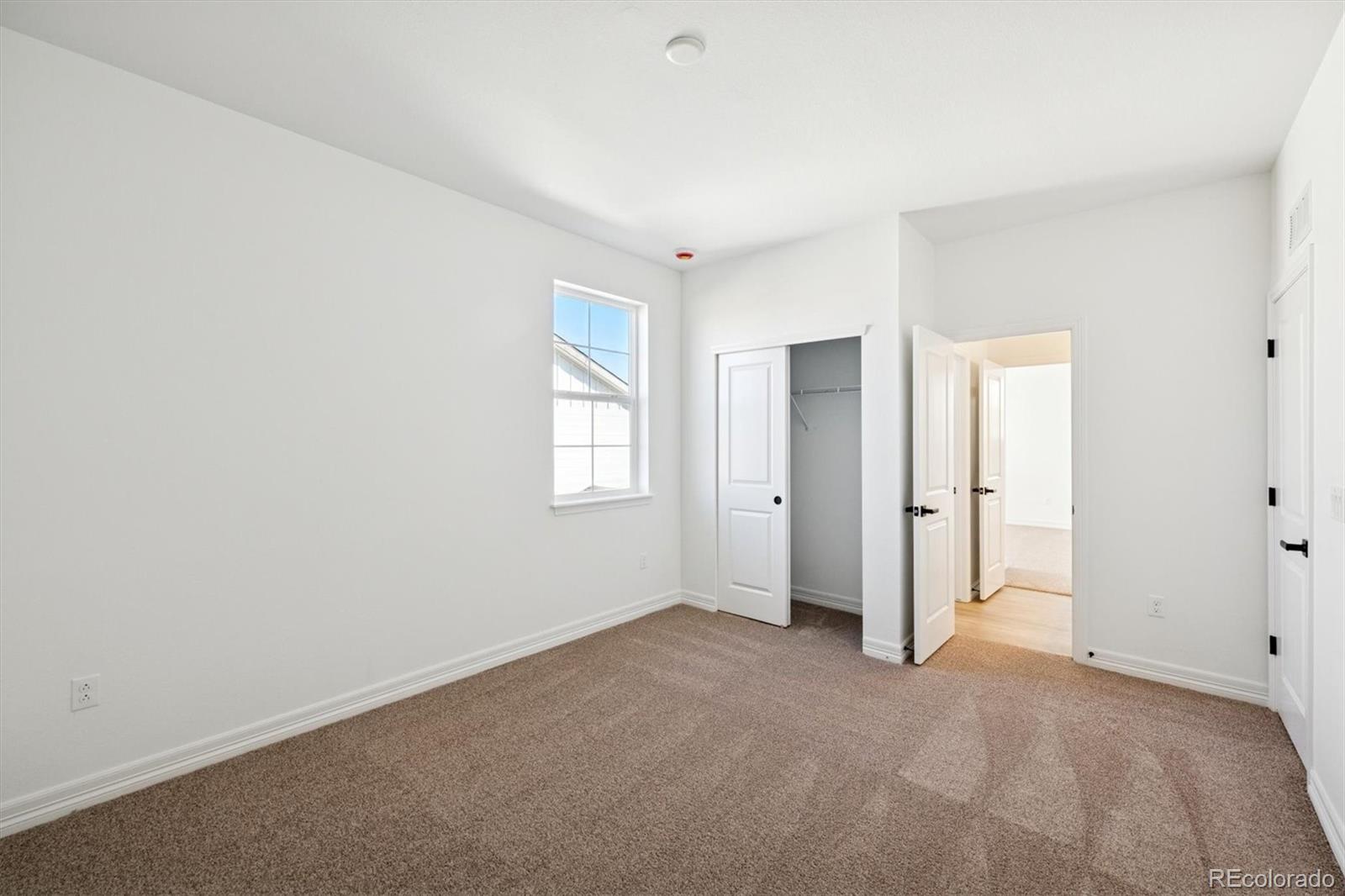 6114 Oban Road Timnath, CO 80547 - Photo 16 of 26 Gallery Image 16