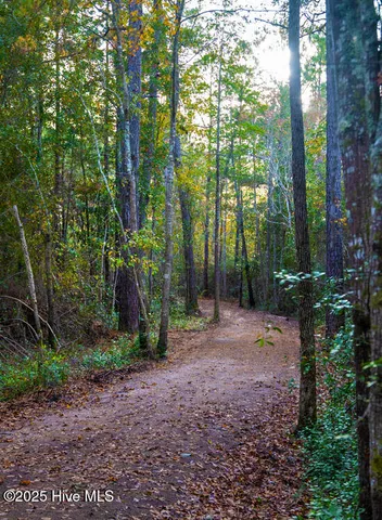 $695,000 | 3810 Lemon Drop Lane Northeast, Leland, NC 28451