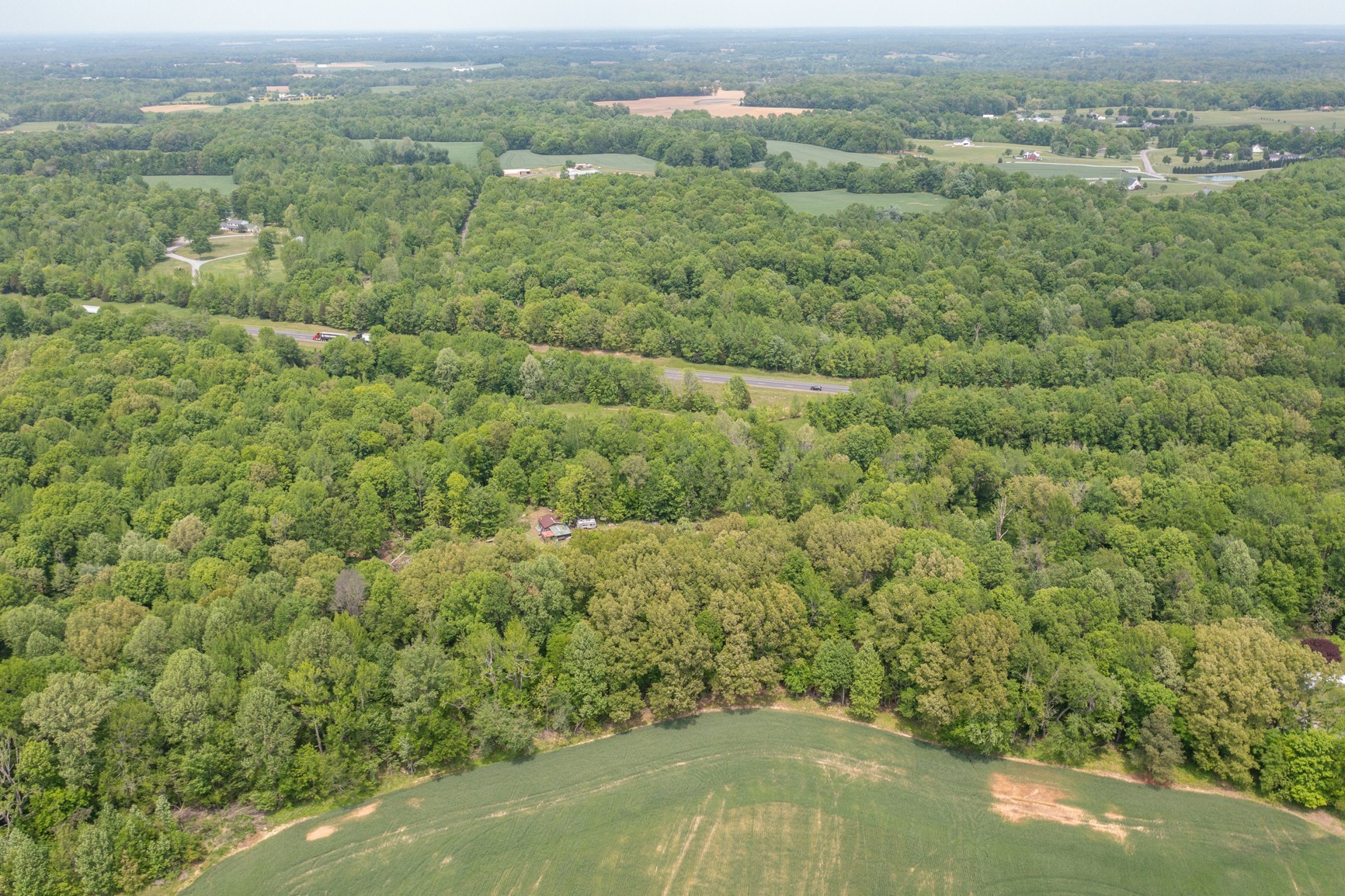 2126 Old Chambliss Road Pleasant View, TN 37146 - Photo 15 of 15 a view of a green field with lots of trees