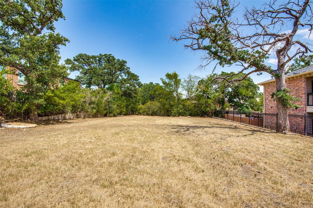 a view of a yard with a tree