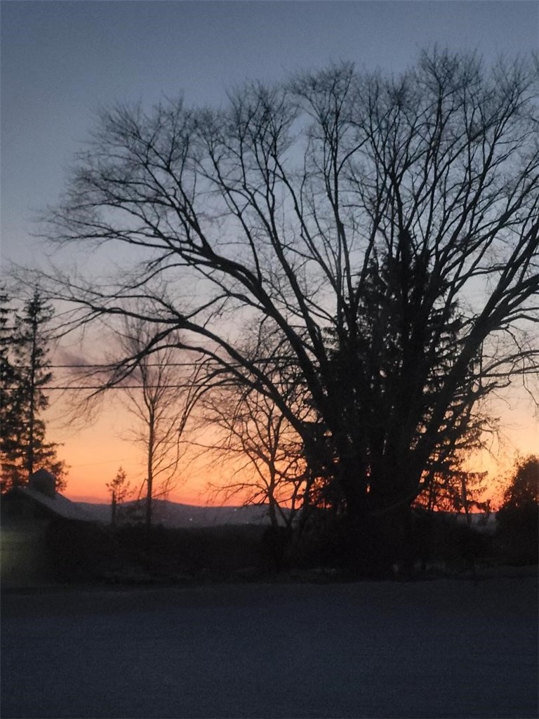 561 Grovenors Corners Road Carlisle, NY 12043 - Photo 41 of 49