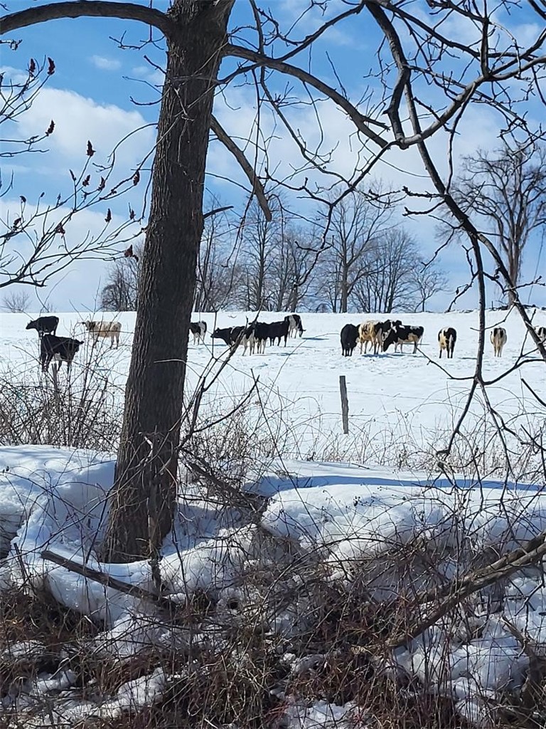 561 Grovenors Corners Road Carlisle, NY 12043 - Photo 44 of 49