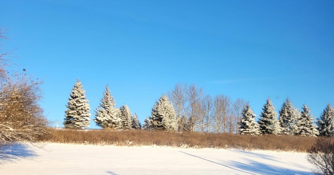 561 Grovenors Corners Road Carlisle, NY 12043 - Photo 45 of 49