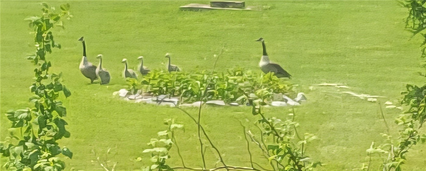 561 Grovenors Corners Road Carlisle, NY 12043 - Photo 47 of 49