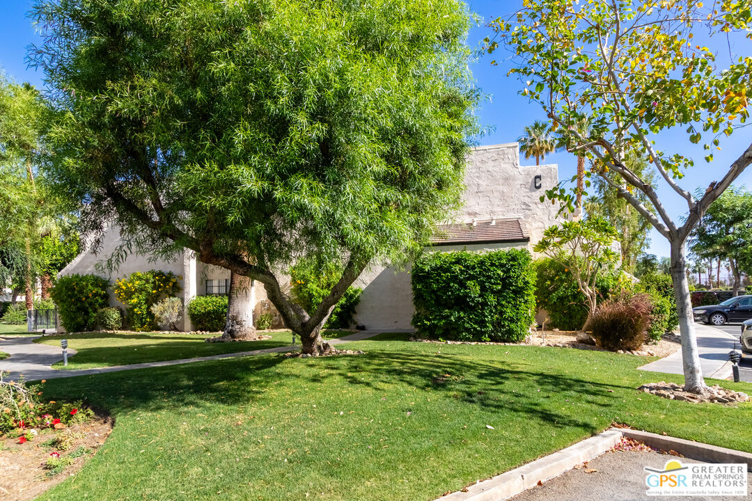 5300 East Waverly Drive, Unit C13 Palm Springs, CA 92264 - Photo 21 of 32 a view of a garden with plants and large trees